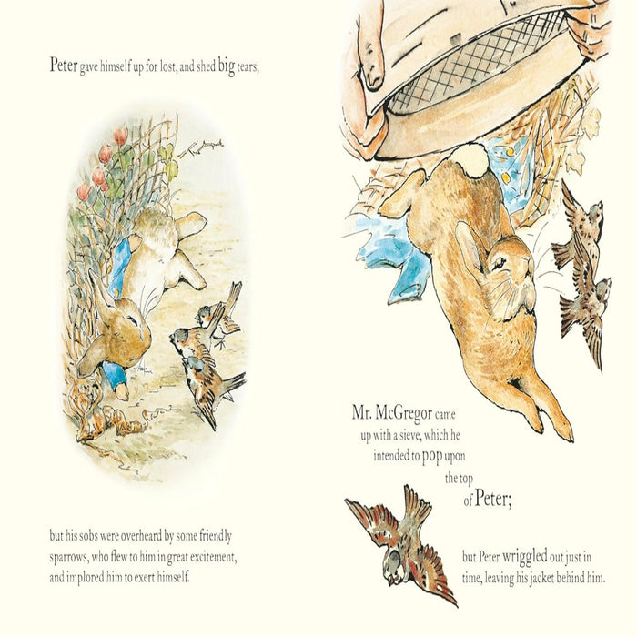 Peter Rabbit Book Book And Toy Gift Set-Board Book-Prh-Toycra