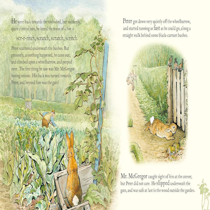 Peter Rabbit Book Book And Toy Gift Set-Board Book-Prh-Toycra