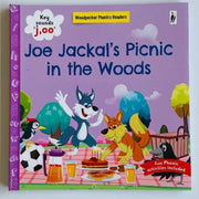Phonics Readers Books