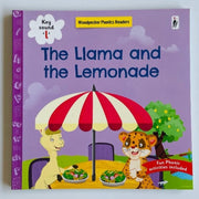 Phonics Readers Books