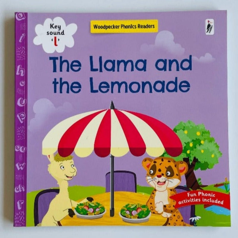 Phonics Readers Books
