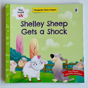 Phonics Readers Books