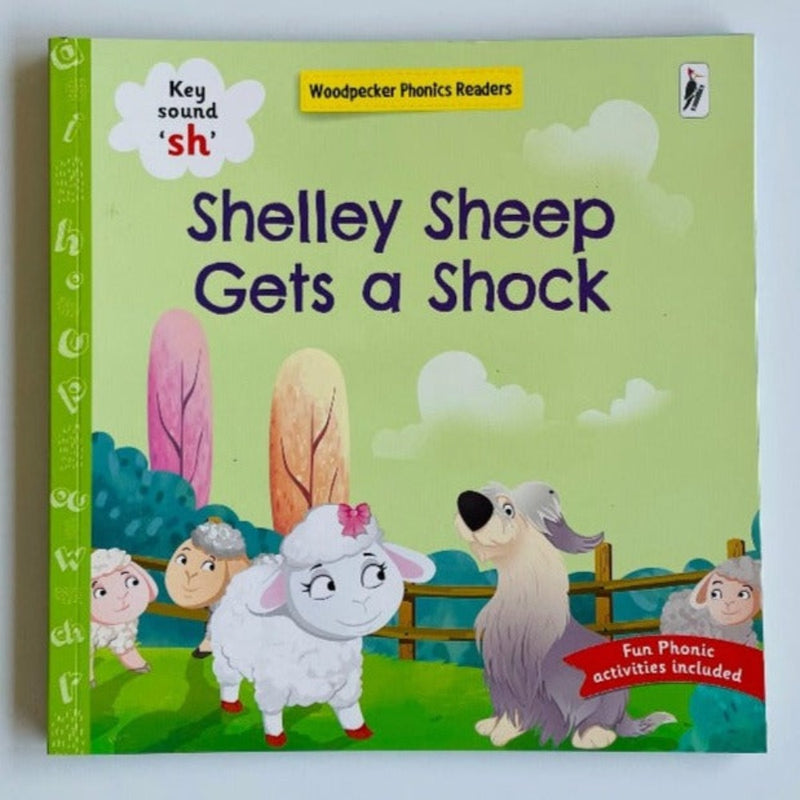 Phonics Readers Books