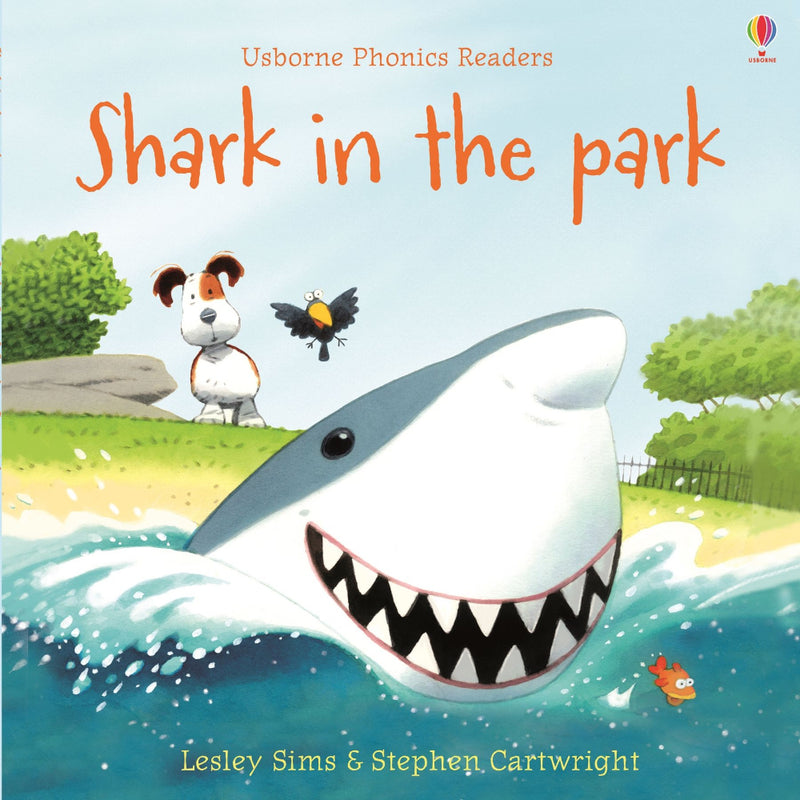 Phonics Readers Books