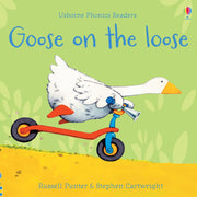Phonics Readers Books