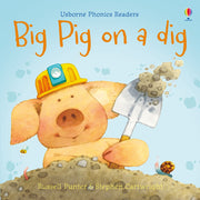 Phonics Readers Books