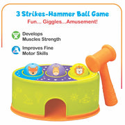 Play N Grow - A 5-in-1 Toddlers Learning Activity Gift Set For 12 Months And Above