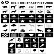 Play Panda High-Contrast Flash Cards