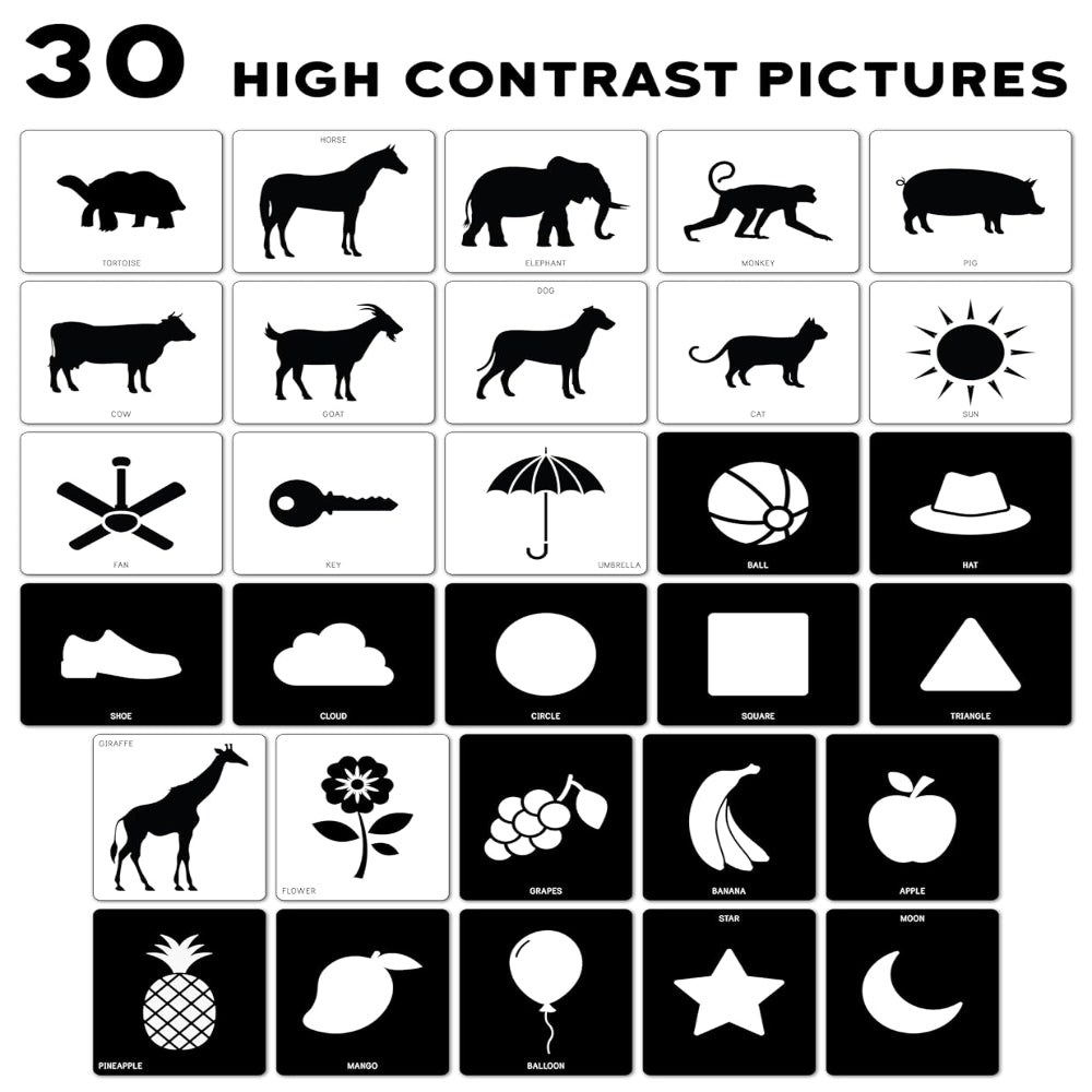 Play Panda High-Contrast Flash Cards Set | Buy Online at Toycra