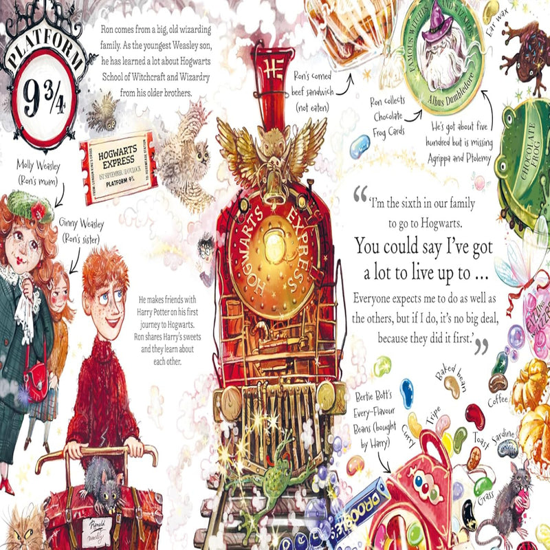 Pocket Potters Books Series
