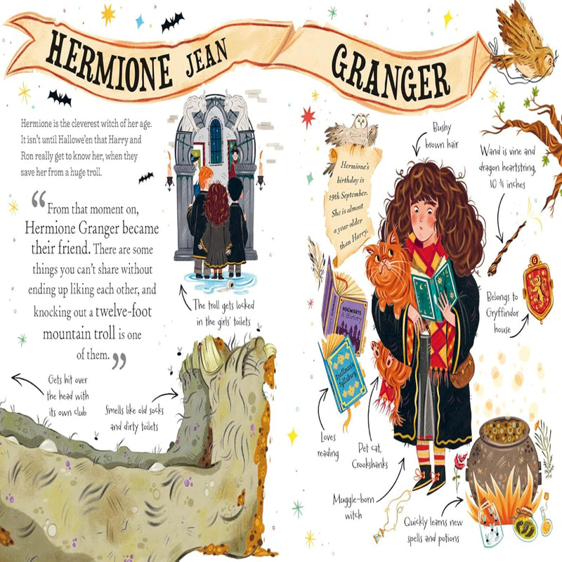 Pocket Potters Books Series