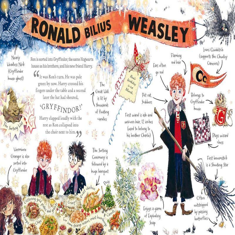 Pocket Potters Books Series