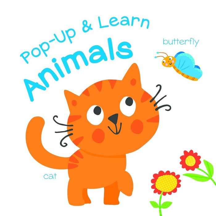 Pop-Up & Learn Books-Board Book-Toycra Books-Toycra