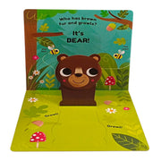 Pop Ups Board Books