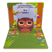 Pop Ups Board Books