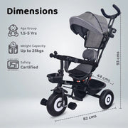 R for Rabbit Tiny Toes T40 Ace Tricycle