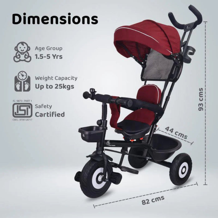 R for Rabbit Tiny Toes T40 Plus Tricycle-Ride Ons-R for Rabbit-Toycra