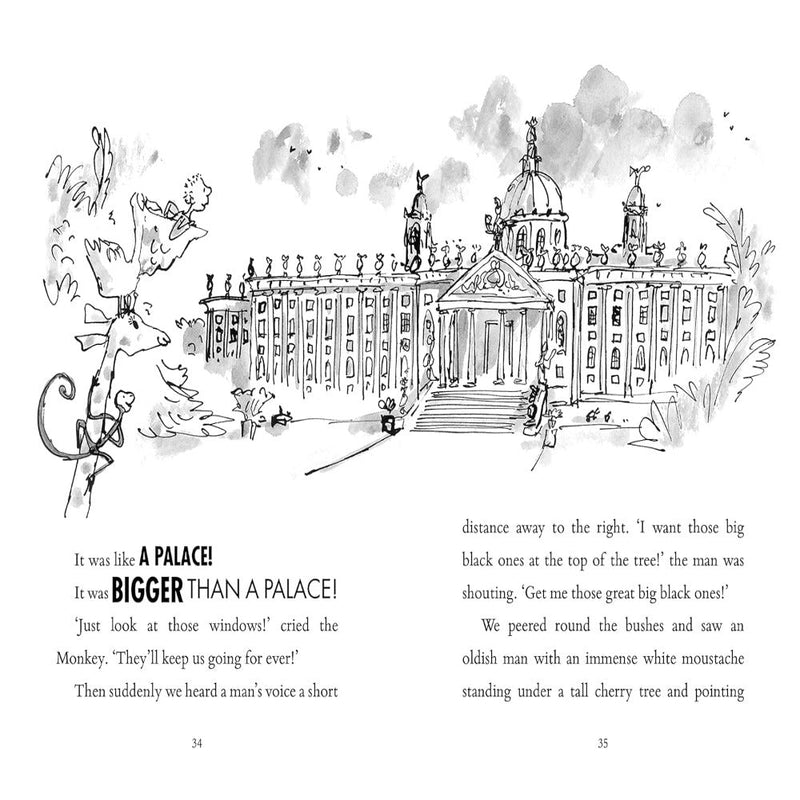 Roald Dahl Book