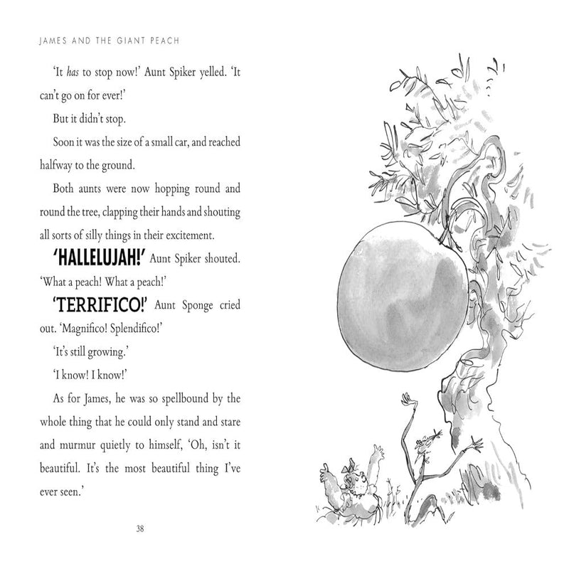 Roald Dahl Book