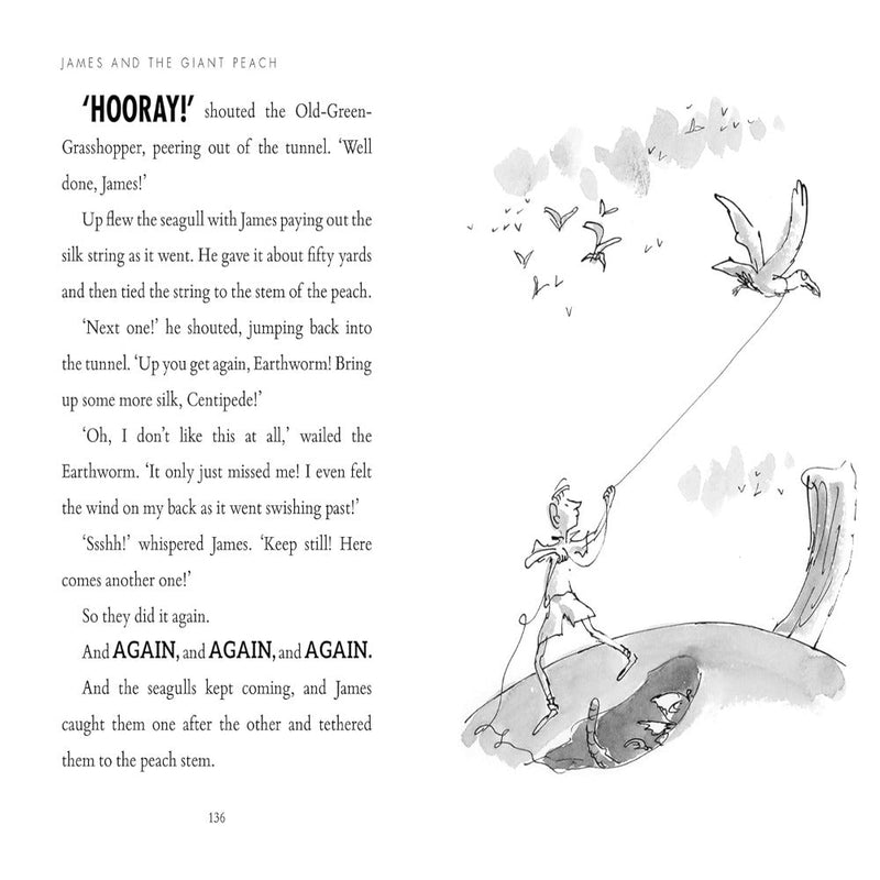 Roald Dahl Book