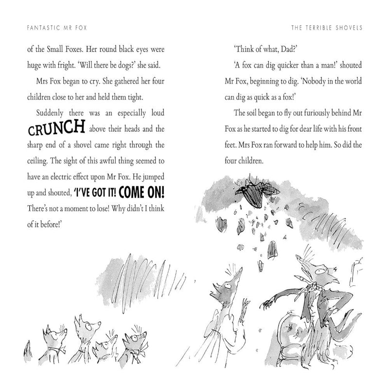 Roald Dahl Book