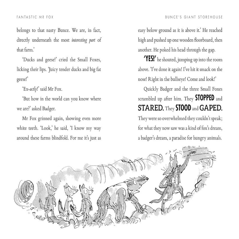 Roald Dahl Book