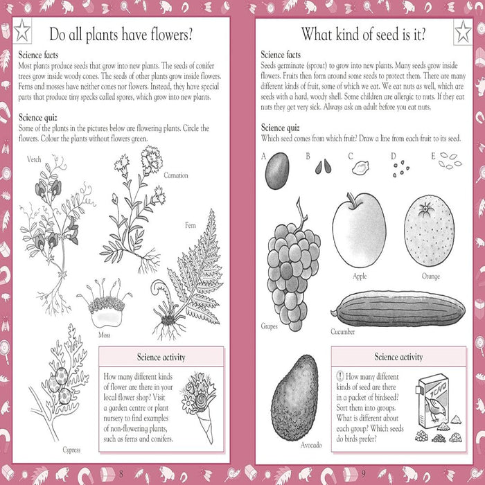 Science Made Easy — Toycra