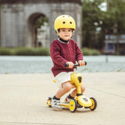 Scoot and Ride Highwaykick 1