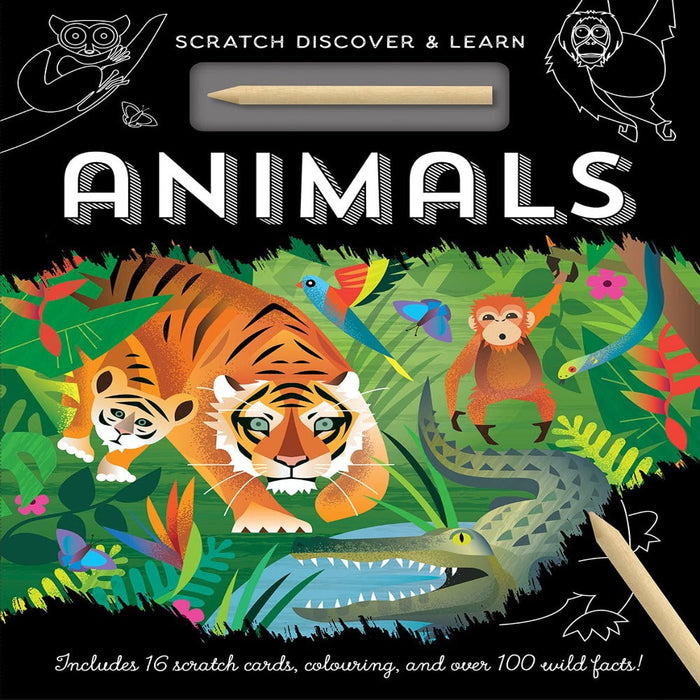 Scratch, Discover & Learn-Picture Book-RBC-Toycra