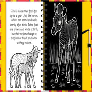 Scratch & Draw Books
