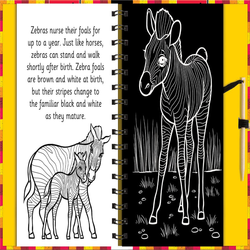 Scratch & Draw Books