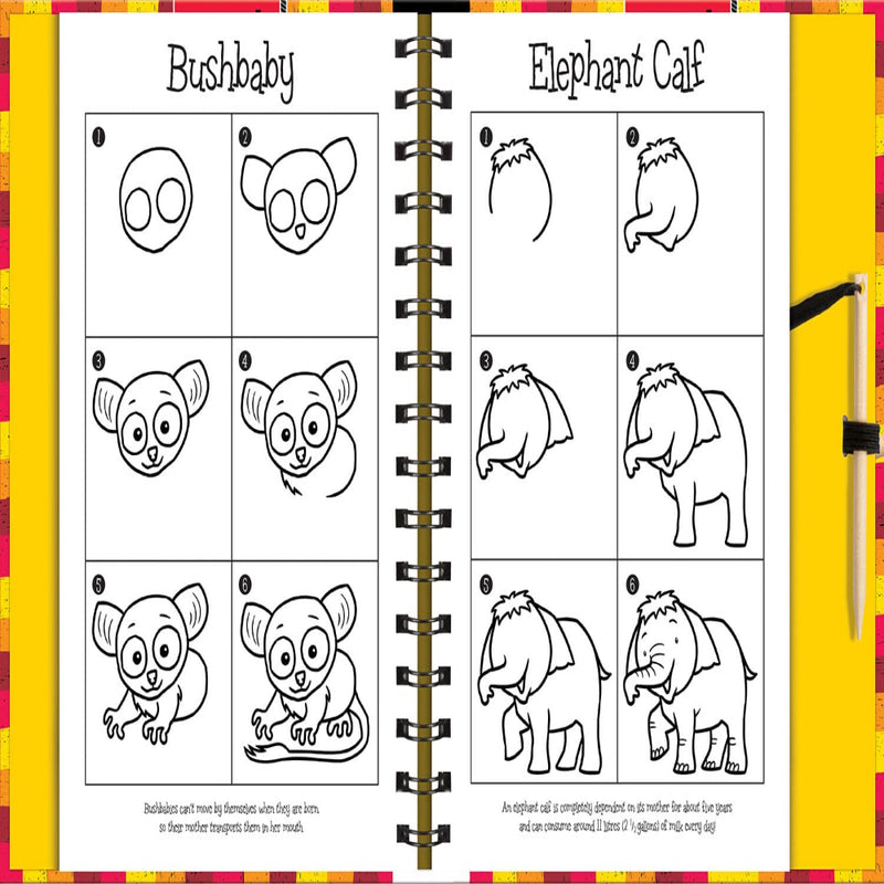 Scratch & Draw Books
