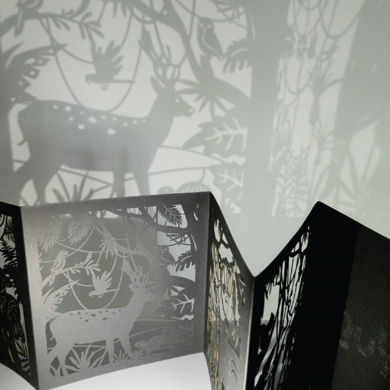 Shadow Art
