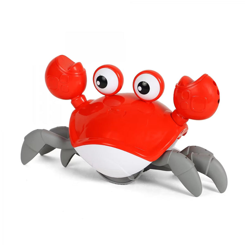 Shooting Star Dancing Crab - Multicolour