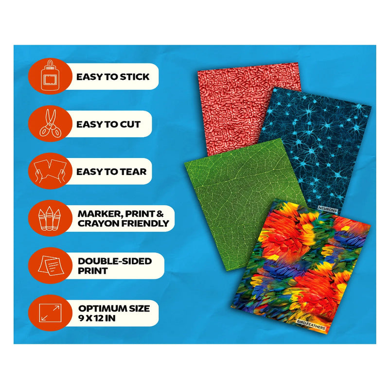 Skillmatics Clever Prints: Life Science | Construction Paper (60 Sheets)