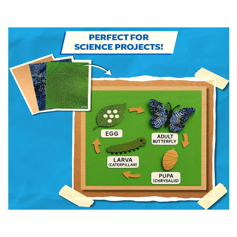 Skillmatics Clever Prints: Life Science | Construction Paper (60 Sheets)