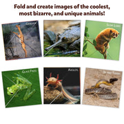 Skillmatics Craftopedia: Coolest Creatures | Origami Puzzle Book