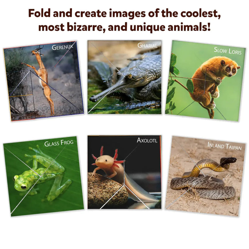 Skillmatics Craftopedia: Coolest Creatures | Origami Puzzle Book