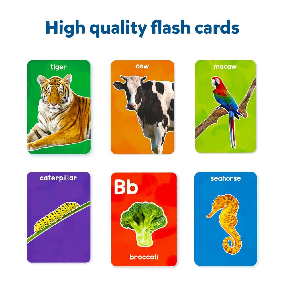 Skillmatics Flash Cards Combo | Buy Online at Toycra
