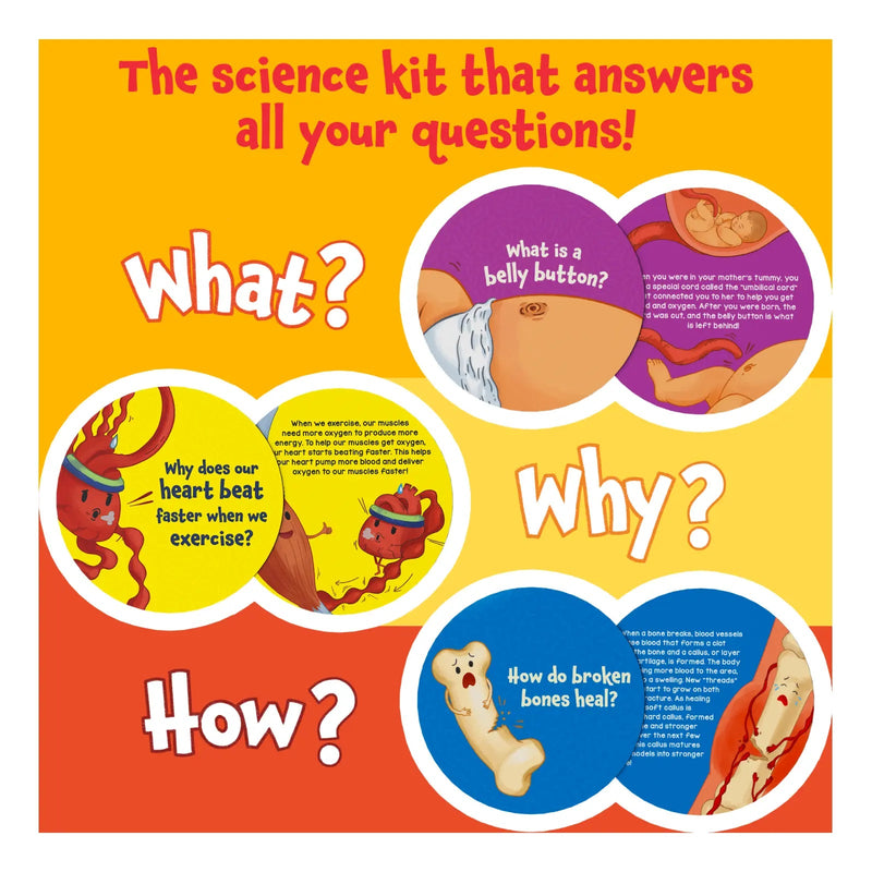 Skillmatics Science Snippets - The Human Body