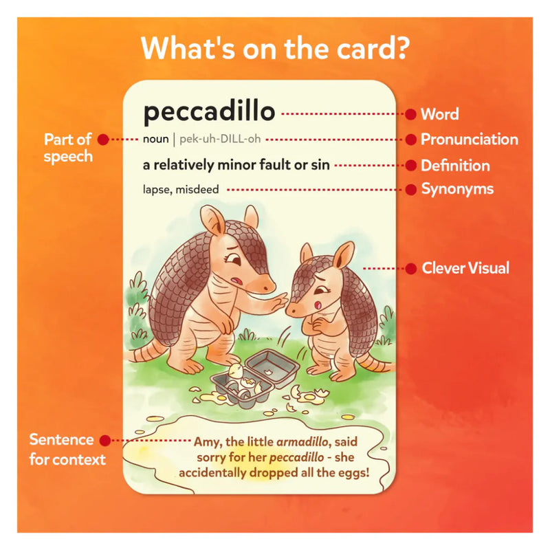 Skillmatics Wordables: Level 3 | Vocabulary Flash Cards ( Age : 12 Years+)
