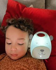Skip Hop Beary Cute Take Along Nightlight