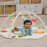 Skip Hop Geometric Wonders Baby Play Gym