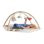 Skip Hop Geometric Wonders Baby Play Gym