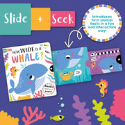 Slide And Seek Board Book