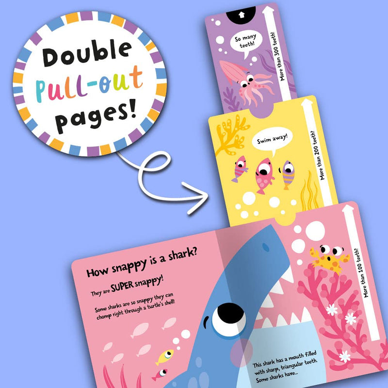 Slide And Seek Board Book
