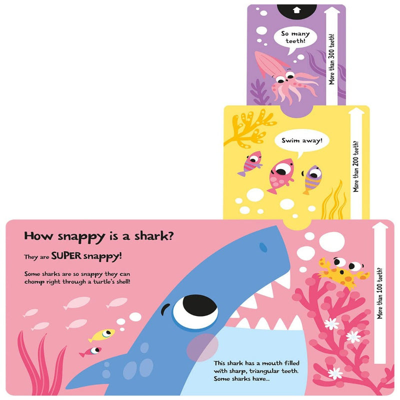 Slide And Seek Board Book