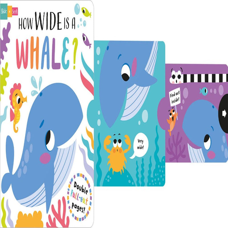Slide And Seek Board Book