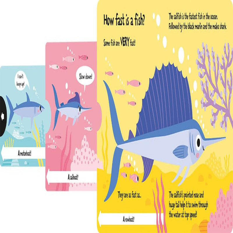 Slide And Seek Board Book
