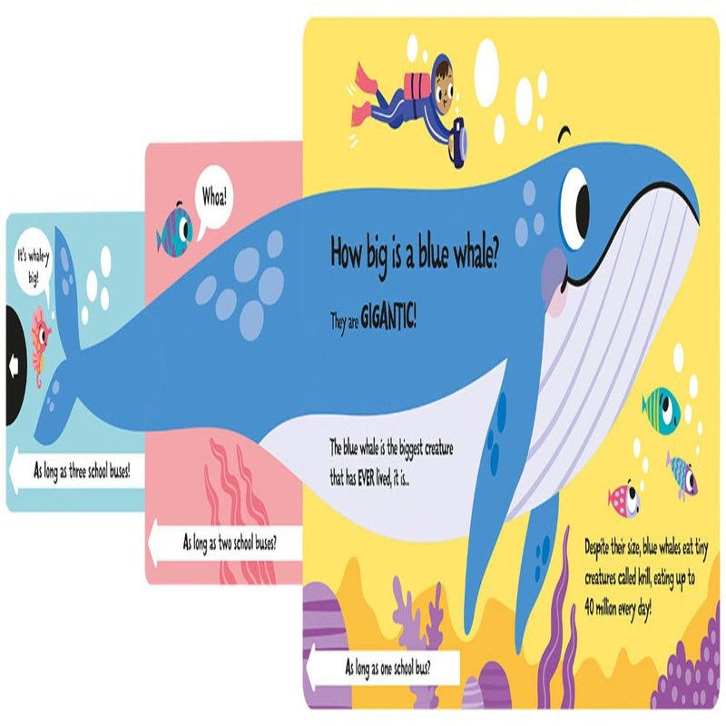 Slide And Seek Board Book
